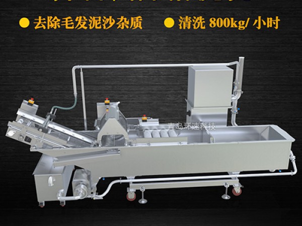 蔬菜清洗機(jī)，氣泡清洗，清洗800kg/小時(shí)